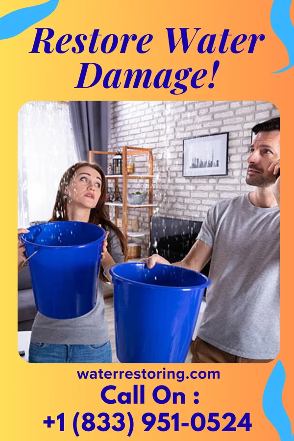 water restoration Peak Water Damage Masters Bloomington