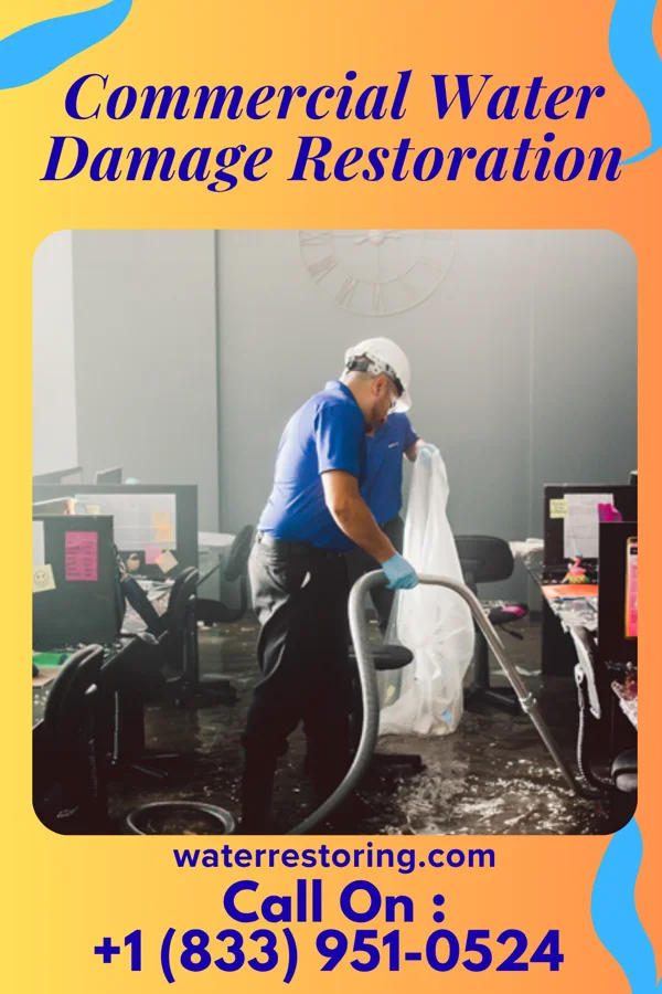 Commercial Water Damage Restoration in Bloomington, MN