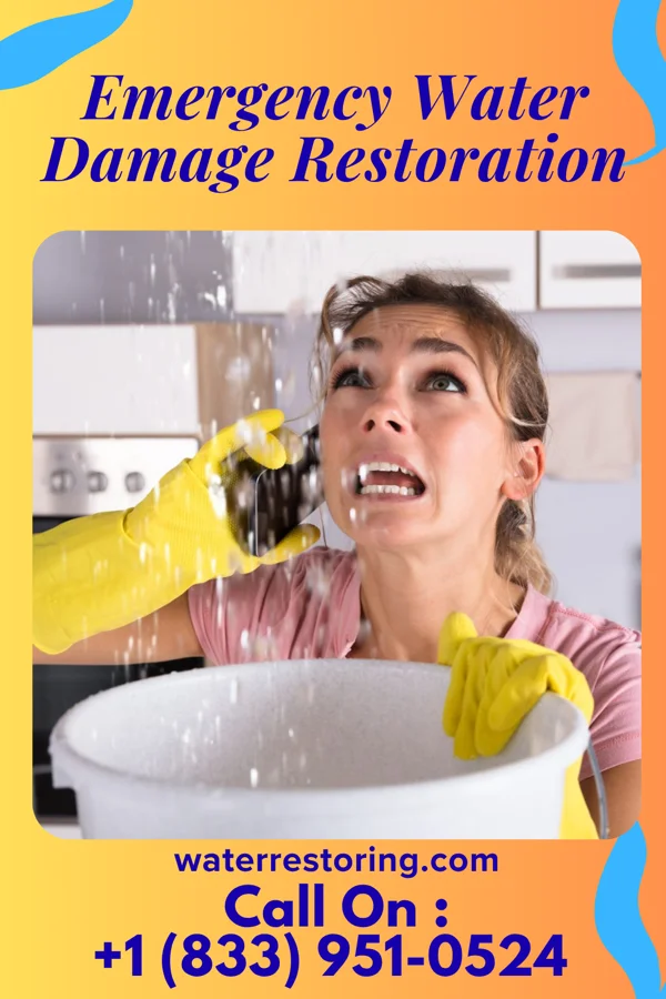Emergency Water Damage Restoration in Bloomington, MN