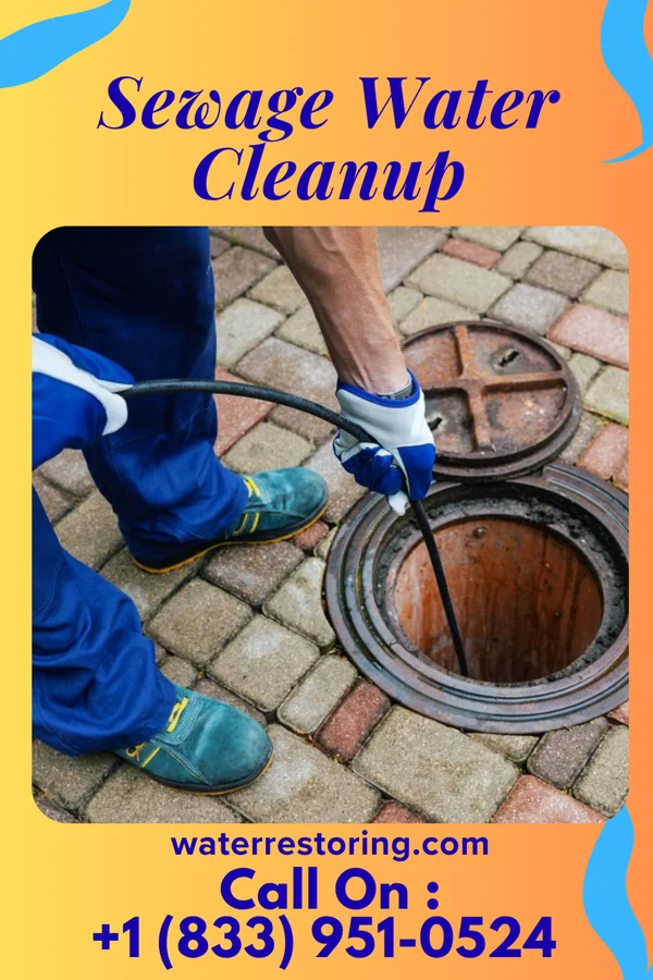 Sewage Water Cleanup in Bloomington, MN